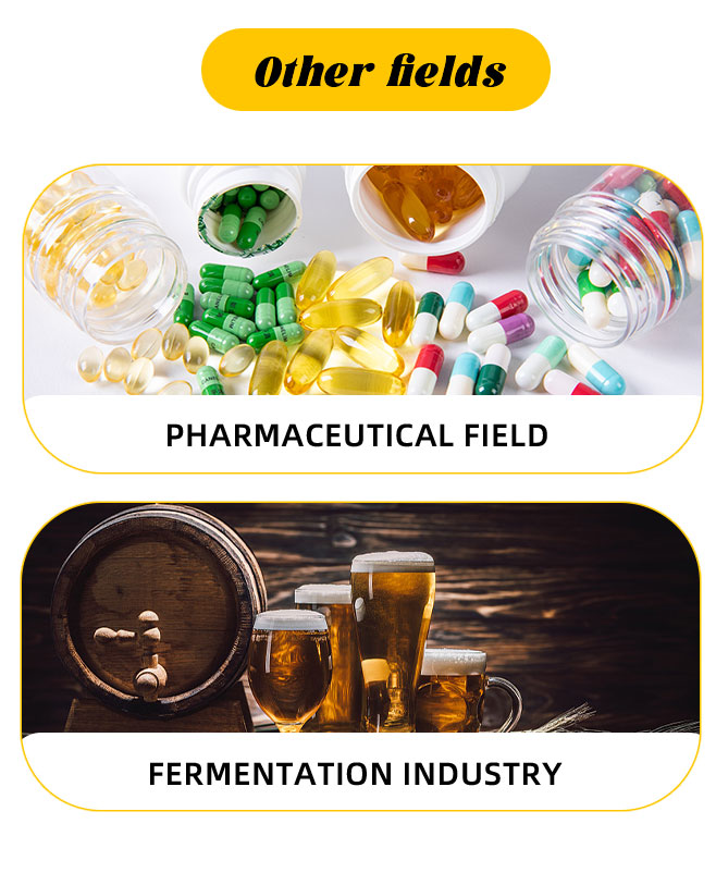 High Fructose Corn Syrup